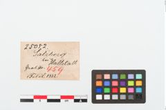 Etiketten zu Bronzebrillenfibel (NHMW-PRAE-025052)